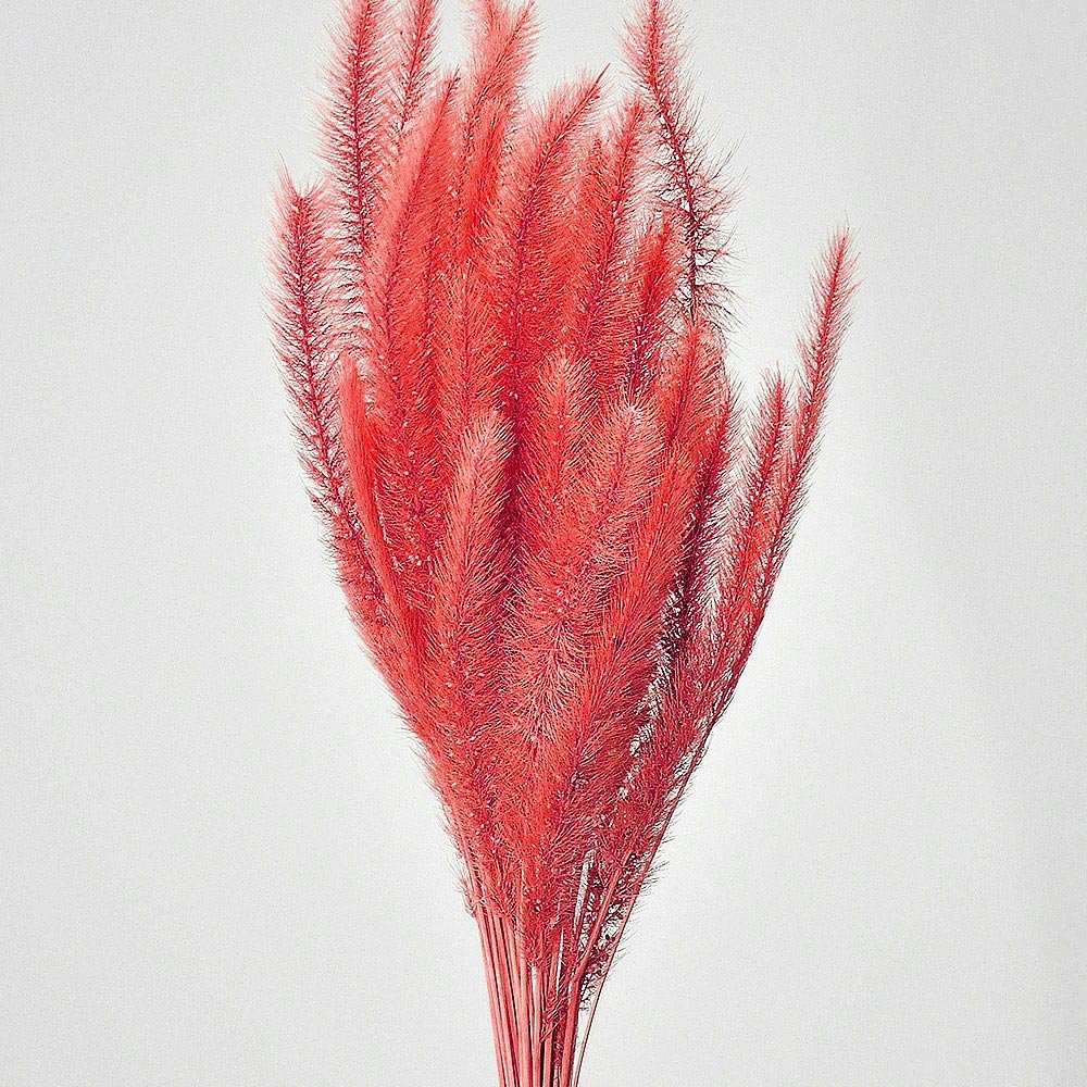 rabo_de_esquilo_alvejado_vermelho_maco_de_flor_decoracao_para_casa_209767709_1_08edd22caae06103f6b7a95977b09a3f