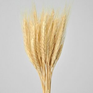 FLOR DE TRIGO DESIDRATADO