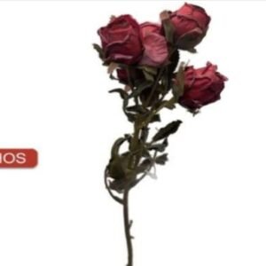 1004 HASTE MINI ROSA 5 BOTÕES VERMELHO