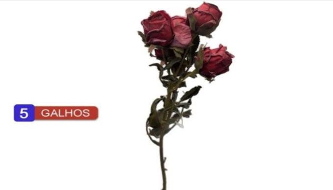 d3258278-9aba-4097-927e-ad211fad4634