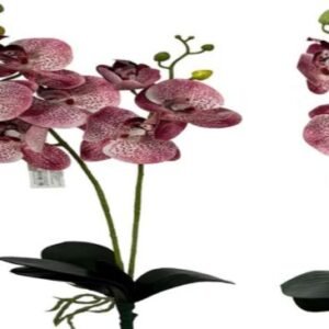 0770 ORQUIDEA 3D ROSA