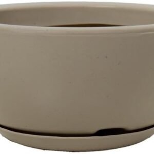 BACIA POLIDA C/ PRATO Nº 2 - BEGE
