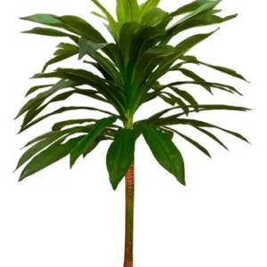 3572 ARVORE DRACENA G