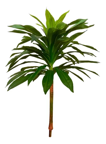 D_NQ_NP_676324-MLB77682088234_072024-O