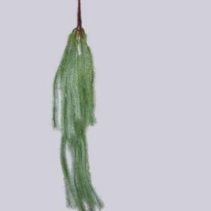 0377 FOLHAGEM PENDENTE