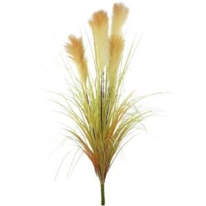 CAPIM DOS PAMPAS 1075