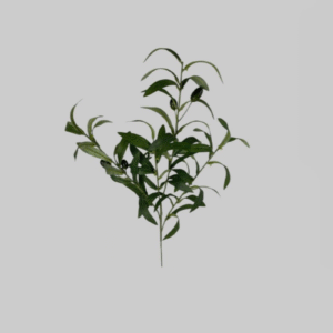 DCX6402 - HASTE DE OLIVEIRA 50CM