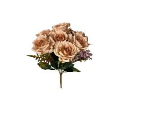DCX10165 - BQ ROSAS 36CM SALMAO