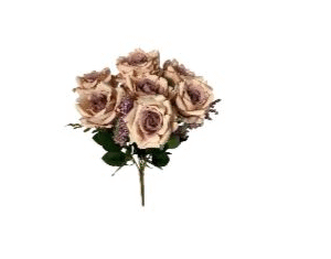 DCX10165 - BQ ROSAS 36CM ROSE