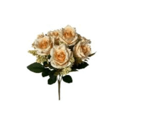 DCX10165 - BQ ROSAS 36CM CHAMPANHE