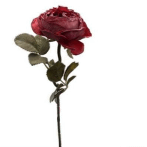 1006 HASTE DE ROSA 1 FLOR VERMELHA