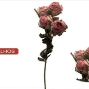 1004 HASTE MINI ROSA