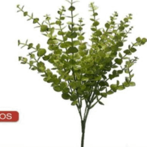 0445 BUQUE EUCALIPTO VERDE