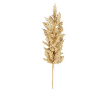 DCX2573 - HASTE DESIDRATADA 103CM PALHA