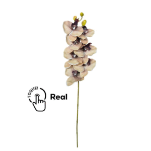DCX9079 - HASTE DE ORQUIDEA TOQUE REAL 76CM MOCHA MOUSSE
