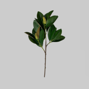 DCX26690 - HASTE 75CM