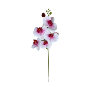 DCX6409 - HASTE DE ORQUIDEA 55CM CREME C/ ROSA