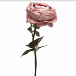 1006 HASTE ROSA 1 FLOR ROSA