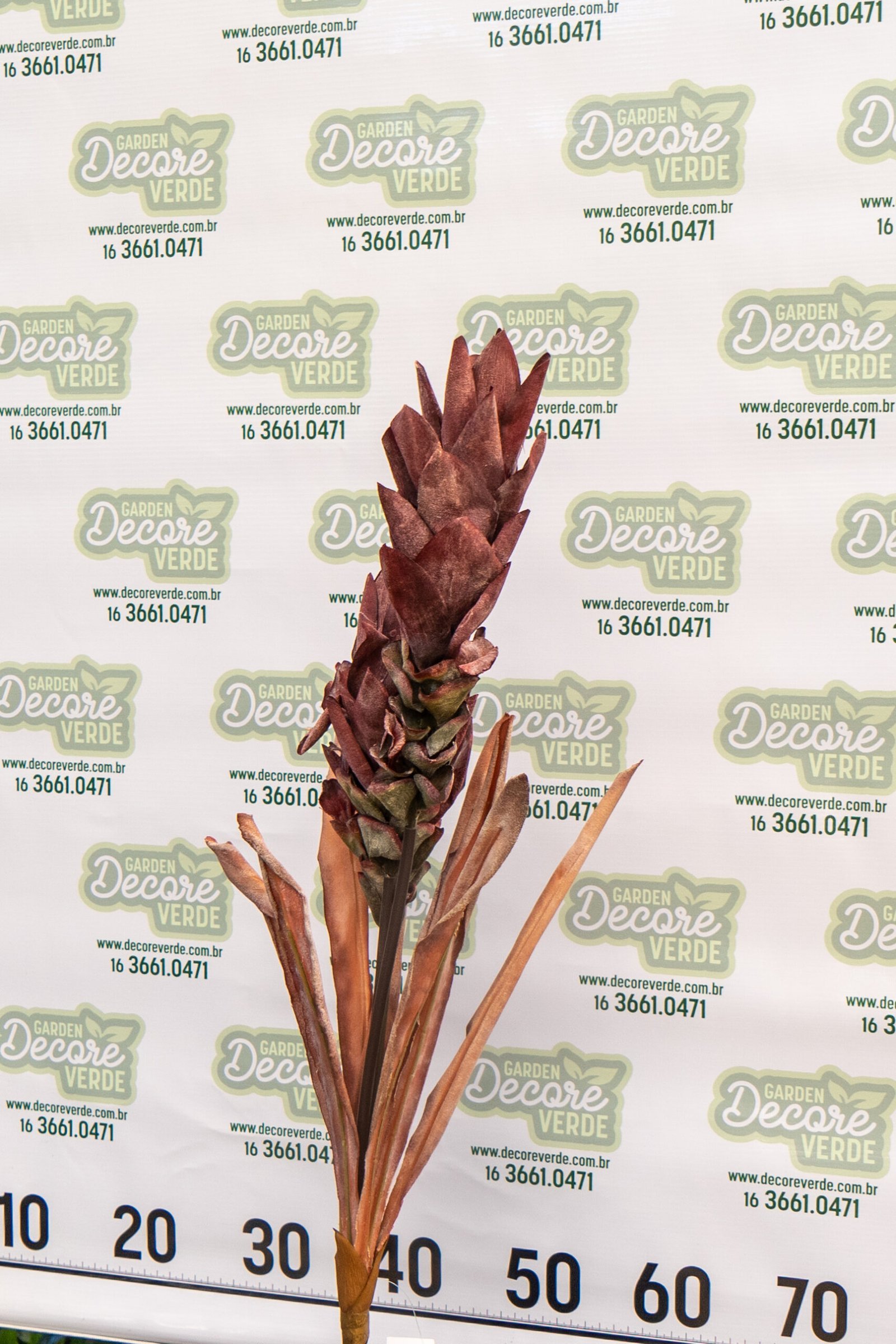 bromelia-marsala-4-scaled-1