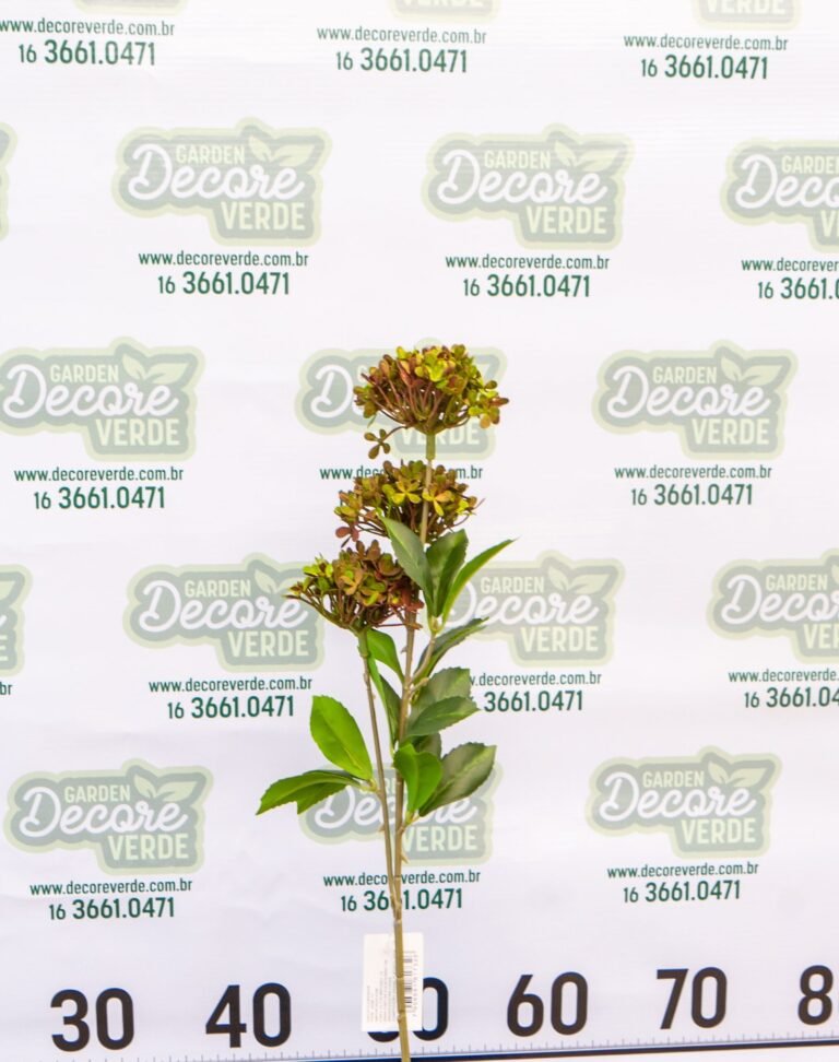 haste-florzinha-verde-4-scaled-1