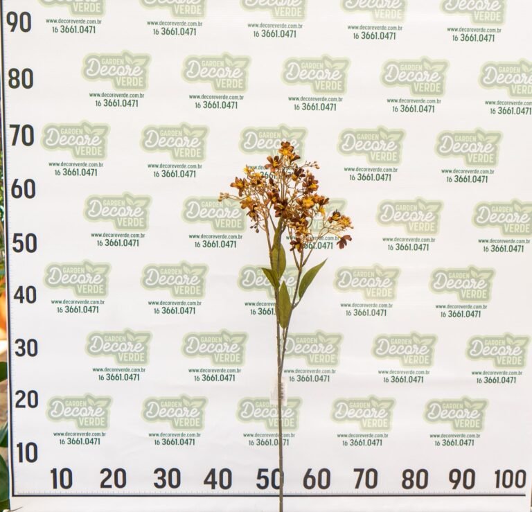 haste-florzinhas-marrom-1-scaled-1