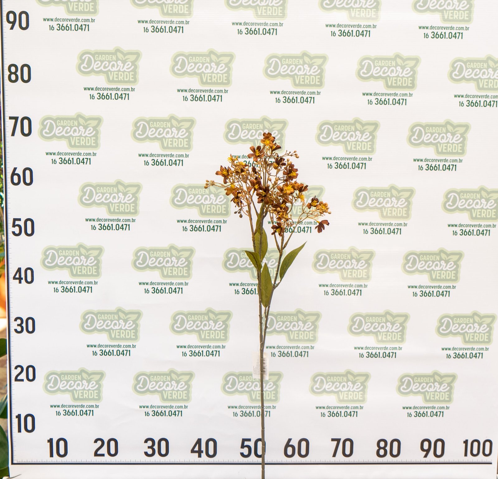 haste-florzinhas-marrom-1-scaled-1