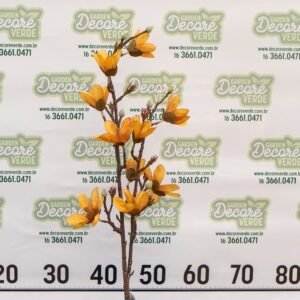(3055-02) HASTE MAGNOLIA Laranja