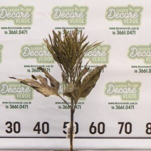 (2930-15) HASTE VAGENS SECAS Verde