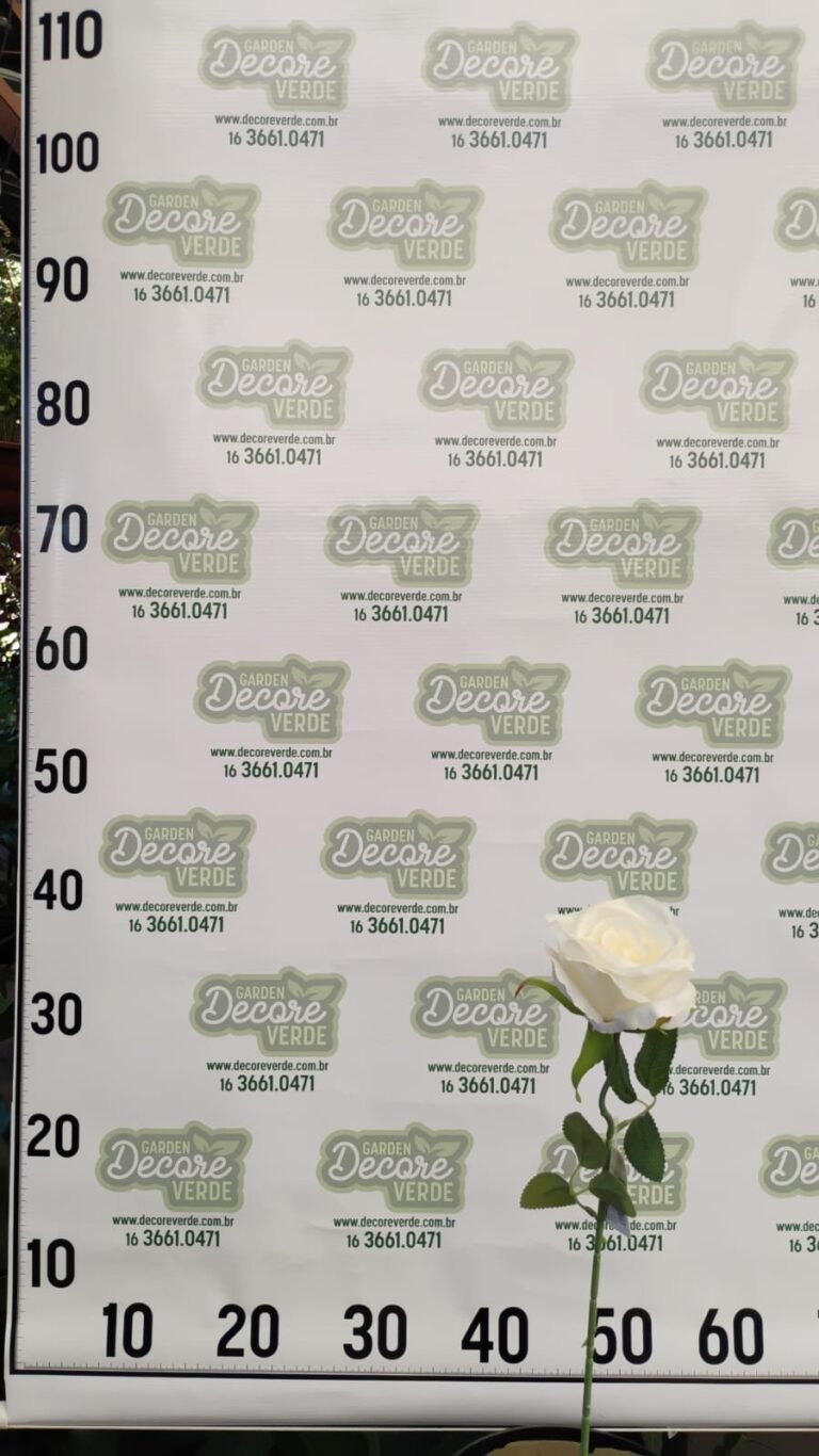 rosa-branca-8